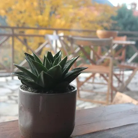 Petradi @ Agoriani-parnassus *